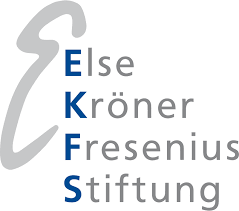 Logo EKFS