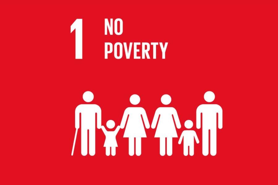 SDG 1