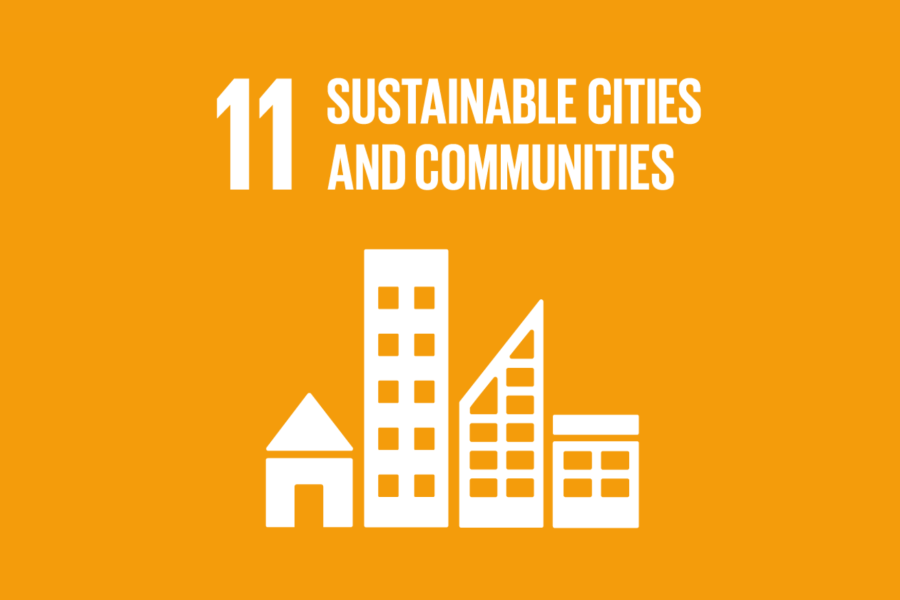 SDG 11