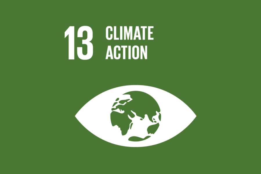 SDG 13