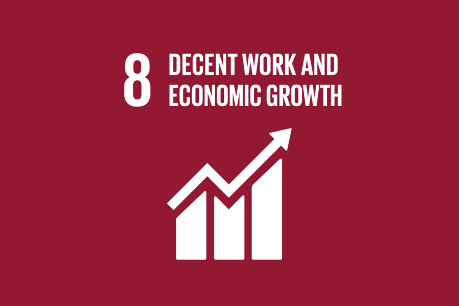 SDG 8